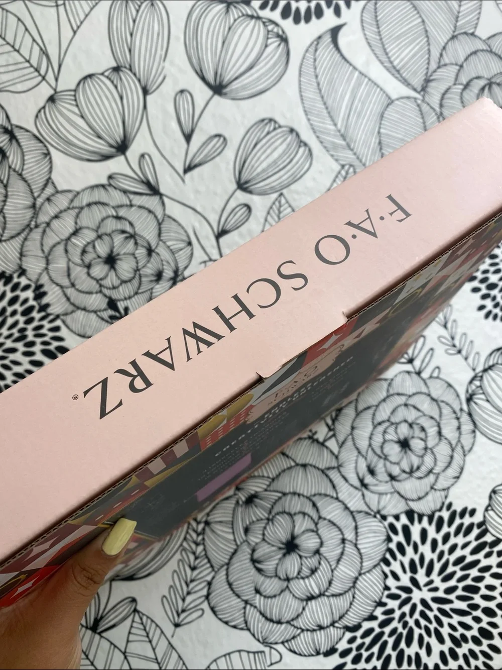FAO Schwarz new box